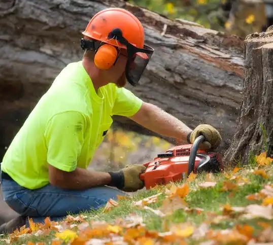 tree services Wagram